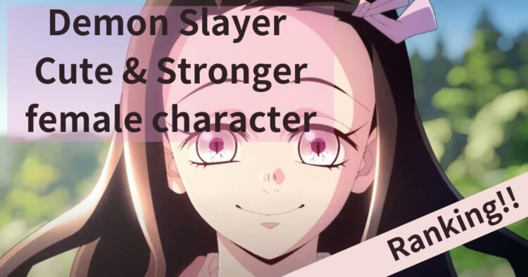 Demon Slayer's Hashira: Using Character Diversity as a Marketing Strategy