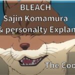 Bleach Sajin Komamura Explanation