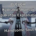 BLEACH Kyoraku Shunsui Zanpakutou & personality Explanation