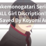 Bakemonogatari Series character discription