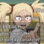 BLEACH Hiyori Sarugaki Zanpakutou Explanation!!