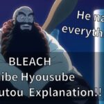 BLEACH Ichibe Hyousube Zanpakutou Explanation!!
