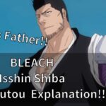 BLEACH Isshin Shiba Zanpakutou Explanation!!