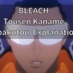 BLEACH Tousen Kaname Zanpakutou Explanation!!