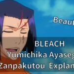 BLEACH Yumichika Ayasegawa Zanpakutou Explanation!!