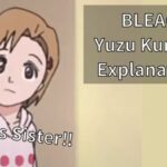 BLEACH Yuzu Kurosaki Explanation!!